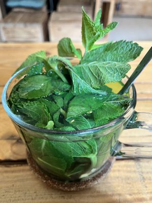 Fresh mint tea  at My Hummus in Luebeck