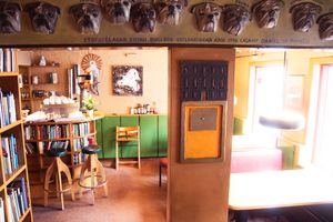 Dogs on a wall!  at Grai Kötturinn in Reykjavik