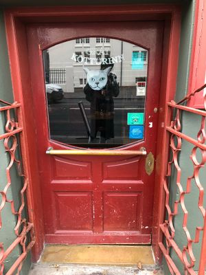 Entrance  at Grai Kötturinn in Reykjavik