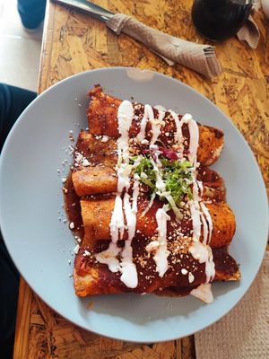 Enchiladas de asada at Ramé Fonda Vegana in Aguascalientes
