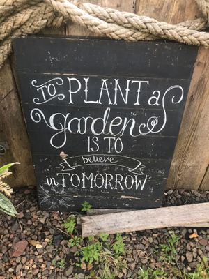 Welcoming decor  at Beetroot Sauvage in Edinburgh