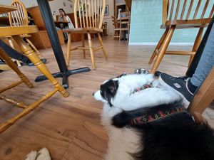  at Serenity Now in Glasgow