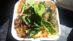 Tomato rice, vine leaves seeds, spinach and dip salad box at Shoe Tree Cafe in Newcastle Upon Tyne