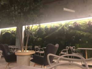 TBar at T Bar in Panama City