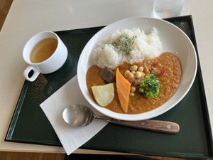 Vegan curry  at Kaikoan Restaurant - Hasedera Temple in Kamakura