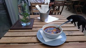 Lunch starter: Czech mushroom soup at Forrest Bistro in Prague