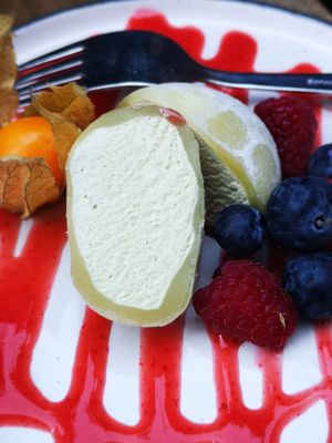 Mochi ice cream pistachio at Forrest Bistro in Prague