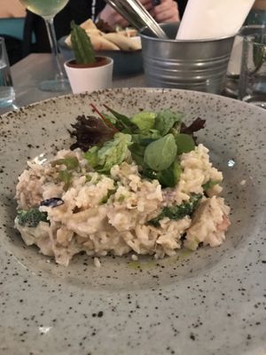 Creamy risotto with tempeh  at Forrest Bistro in Prague