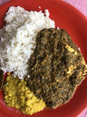 Palak Paneer (vegetarian) plated at home  at Ganesha Restaurant - East in Stuttgart