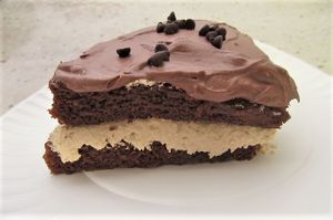 Vegan Cake at Scicchitano's Pizzeria in Berwick