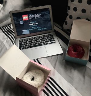 Coconut and Raspberry flavours  at La Donuteria in Bratislava