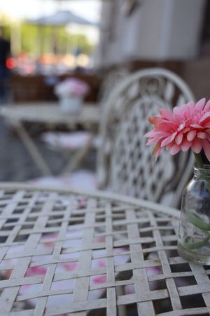 7 at La Donuteria in Bratislava