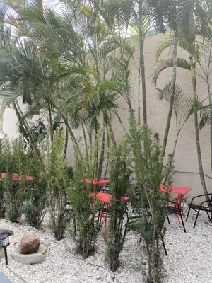 Outdoor seating at Cafe Nutrients in Naples