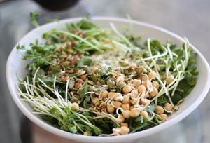 The Herbivore Sprouted Salad at Cafe Nutrients in Naples