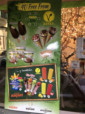 Ice cream selection  at Vegan Bombon in Alicante