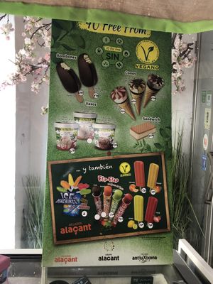 Vegan ice cream at Vegan Bombon in Alicante