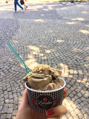 coffee, chestnut and dark chocolate favor at Luculus Ice Saloon in Bratislava