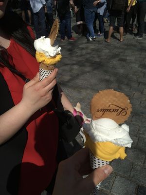 Mango and lemon  at Luculus Ice Saloon in Bratislava