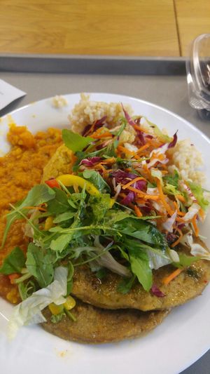 Robi grilovane. dhal ryza salat a pettzlenovy dip.mnamkaa!! at Veg Life - Fresh Market in Bratislava