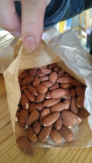 Mandle at Veganske hody Slovensko  in Bratislava