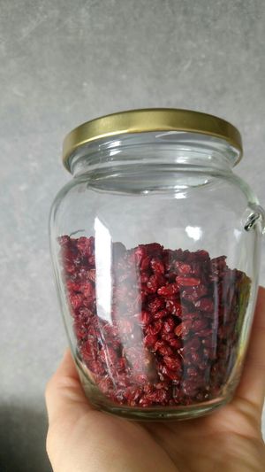 Jemne kyselkave bobulky at Veganske hody Slovensko  in Bratislava