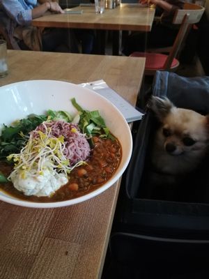 Me eying up that curry at Mana - Schöneberg in Berlin