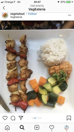 Kebab at VegEateria in Paris