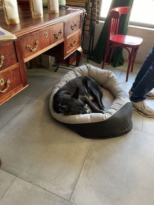   at Bite Me Cafe in Madrid