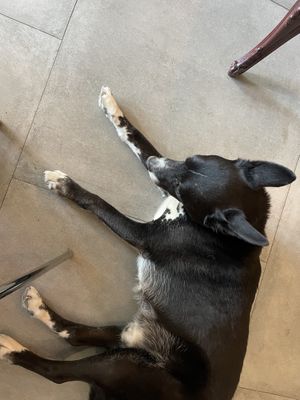   at Bite Me Cafe in Madrid