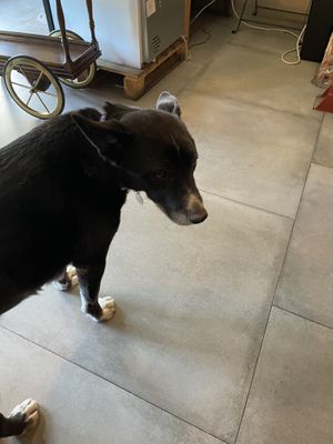   at Bite Me Cafe in Madrid