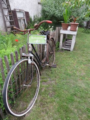 The garden season has been opened! at Amelie Cafe & Dekoration in Saarlouis