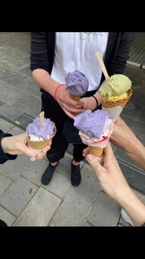 Nomnom at Arthur Ice Cream in Bratislava