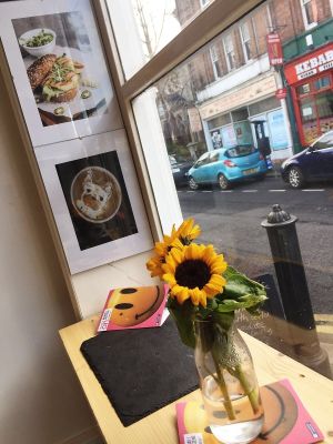 Interior at Little Roc in Rochester