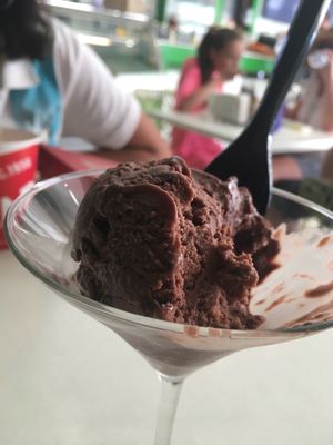 Chocolate milk vegan gelato at Garden Fresh Cafe in Palm Beach