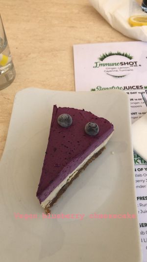 Vegan blueberry cheesecake at Garden Fresh Cafe in Palm Beach