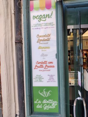 Vegan ice cream at La Bottega del Gelato in Pisa