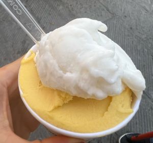 Coppetta limone e mango  at La Bottega del Gelato in Pisa