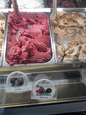 Vegan option 4. at La Bottega del Gelato in Pisa