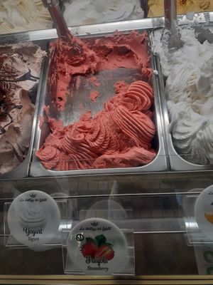 Vegan option 1. at La Bottega del Gelato in Pisa