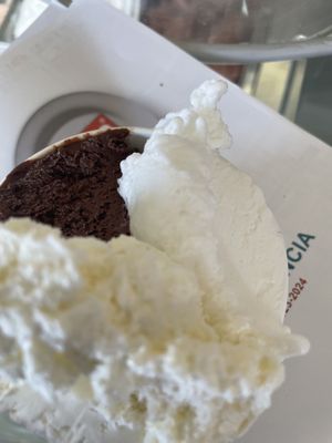 Vegan ice creams and sorbet   at La Bottega del Gelato in Pisa