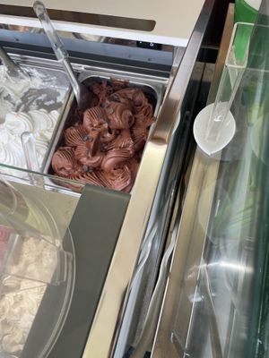 Vegan chocolate   at La Bottega del Gelato in Pisa