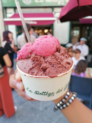 Two scoop dark chocolate with a wild berry scoop at La Bottega del Gelato in Pisa
