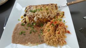 Vegan enchiladas!  at Diego's in Newport