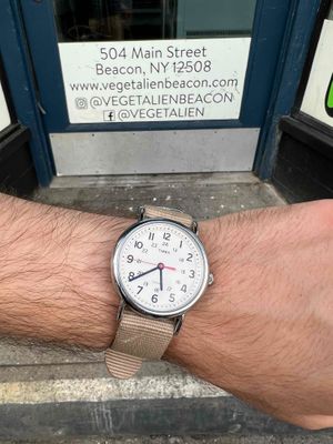 The restaurant was completely closed at 5:40PM despite advertising a closing time of 6PM. at Vegetalien in Beacon