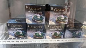 Vegan caviar to go at Vegetalien in Beacon