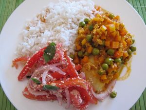 a typical Bolivian dish named Saice. Rice with vegan meat, peas, vegetables and tomatoes with onions that are sprinkled with vegan cheese. at Karott Proveedora Catering and Restaurante Vegano in Cochabamba