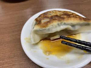 Gyoza with lots of veggies packed in! Tasted healthy and flavourful. at Gyoza no Umechan in Nikko