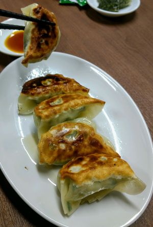 Vegan gyoza at Gyoza no Umechan in Nikko