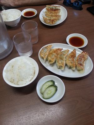 Gyoza, riz et concombre 420Y  at Gyoza no Umechan in Nikko