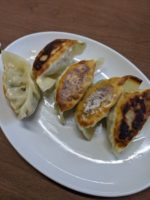 vegan gyoza at Gyoza no Umechan in Nikko